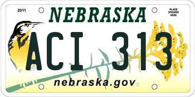 NE license plate ACI313