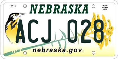 NE license plate ACJ028
