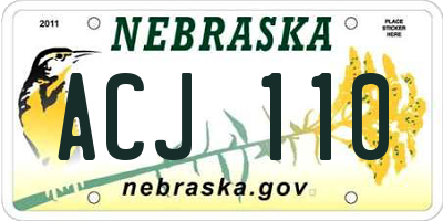 NE license plate ACJ110