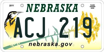 NE license plate ACJ219