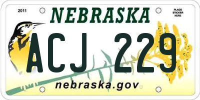 NE license plate ACJ229
