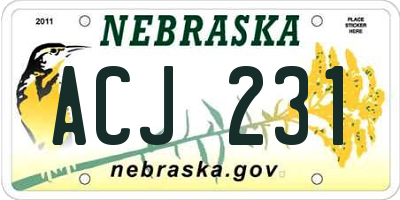 NE license plate ACJ231