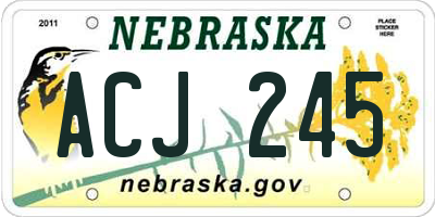 NE license plate ACJ245