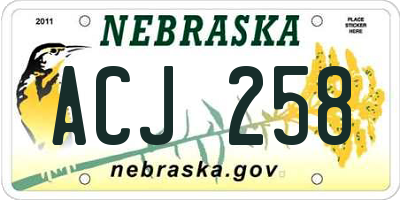 NE license plate ACJ258