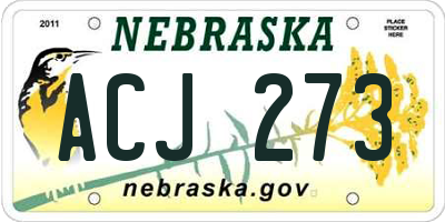 NE license plate ACJ273