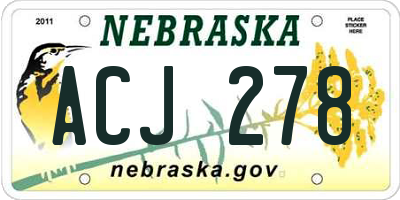 NE license plate ACJ278