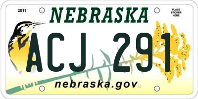 NE license plate ACJ291