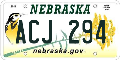 NE license plate ACJ294