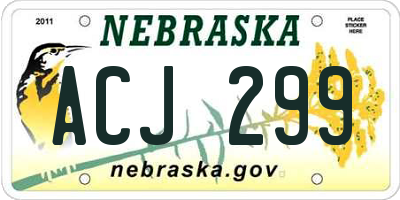 NE license plate ACJ299