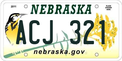 NE license plate ACJ321