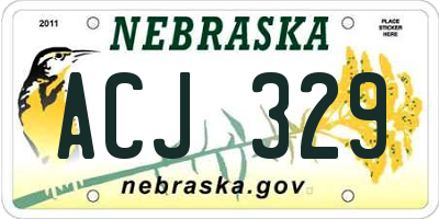 NE license plate ACJ329