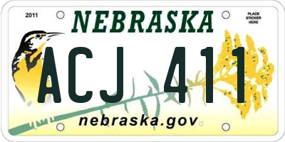 NE license plate ACJ411