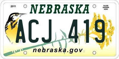 NE license plate ACJ419