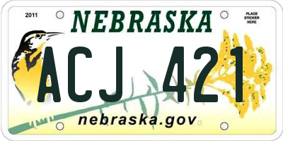 NE license plate ACJ421