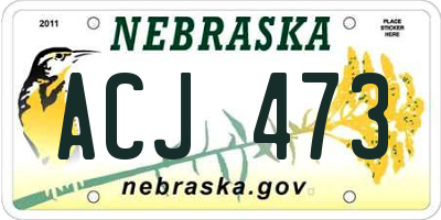 NE license plate ACJ473
