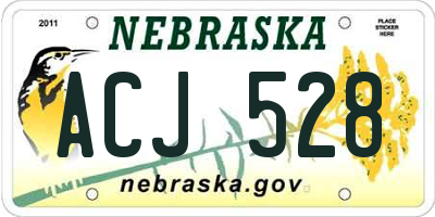 NE license plate ACJ528