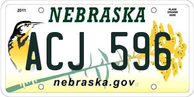 NE license plate ACJ596