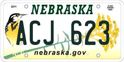 NE license plate ACJ623