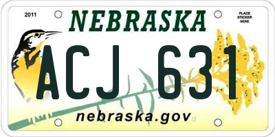 NE license plate ACJ631