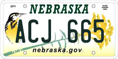 NE license plate ACJ665
