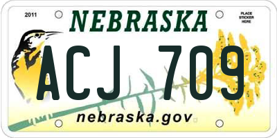 NE license plate ACJ709