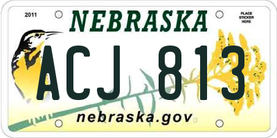 NE license plate ACJ813