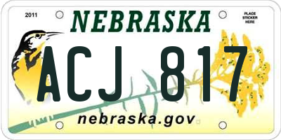 NE license plate ACJ817