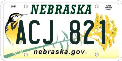 NE license plate ACJ821