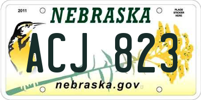 NE license plate ACJ823