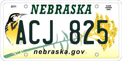 NE license plate ACJ825