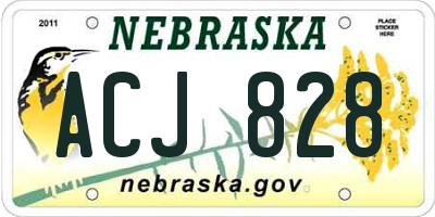 NE license plate ACJ828