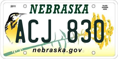 NE license plate ACJ830