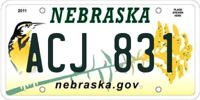 NE license plate ACJ831