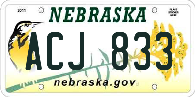 NE license plate ACJ833