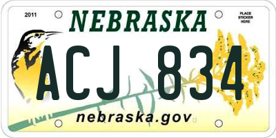 NE license plate ACJ834