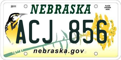 NE license plate ACJ856