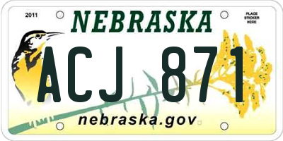 NE license plate ACJ871