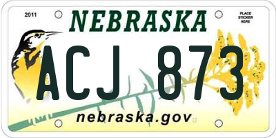 NE license plate ACJ873