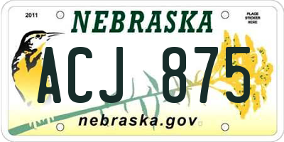 NE license plate ACJ875