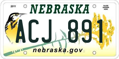 NE license plate ACJ891