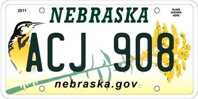 NE license plate ACJ908