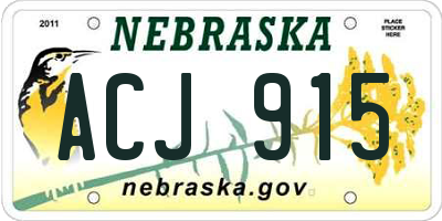 NE license plate ACJ915