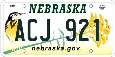 NE license plate ACJ921