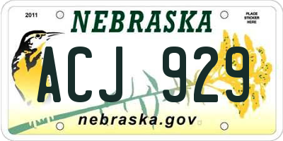 NE license plate ACJ929