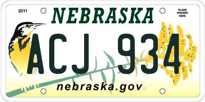 NE license plate ACJ934