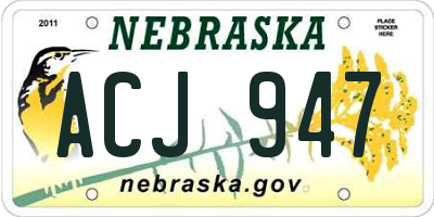 NE license plate ACJ947