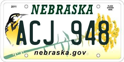 NE license plate ACJ948