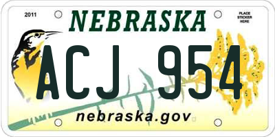 NE license plate ACJ954