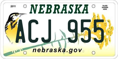 NE license plate ACJ955