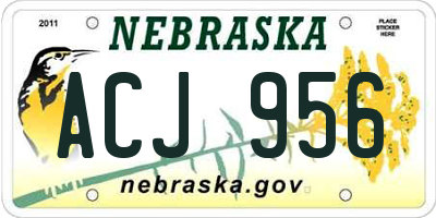 NE license plate ACJ956